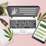 The Benefits of Joining a Cannabis Business Social Network